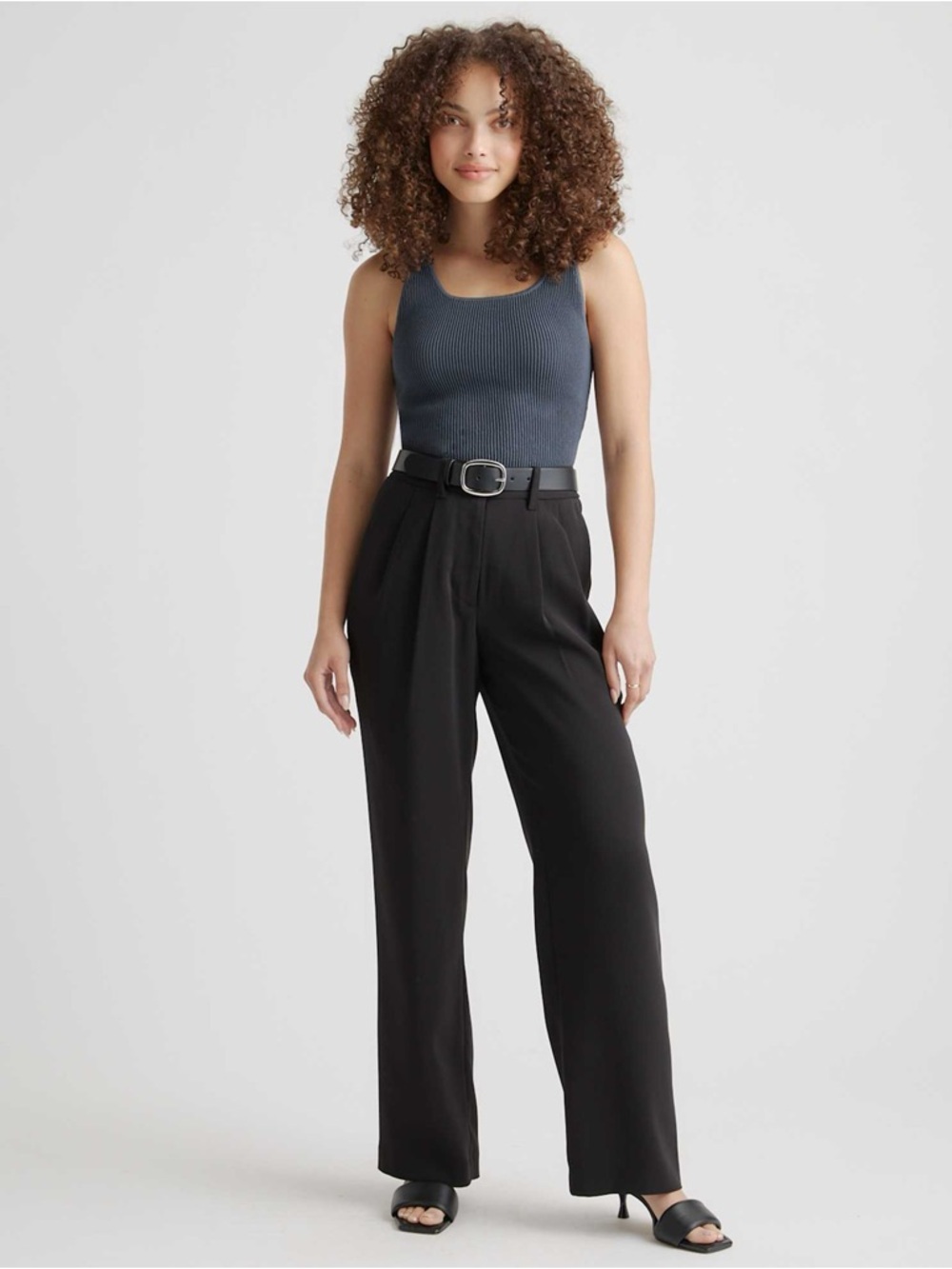 Quince Stretch Crepe Pleated Wide Leg Pants Black | Size 16